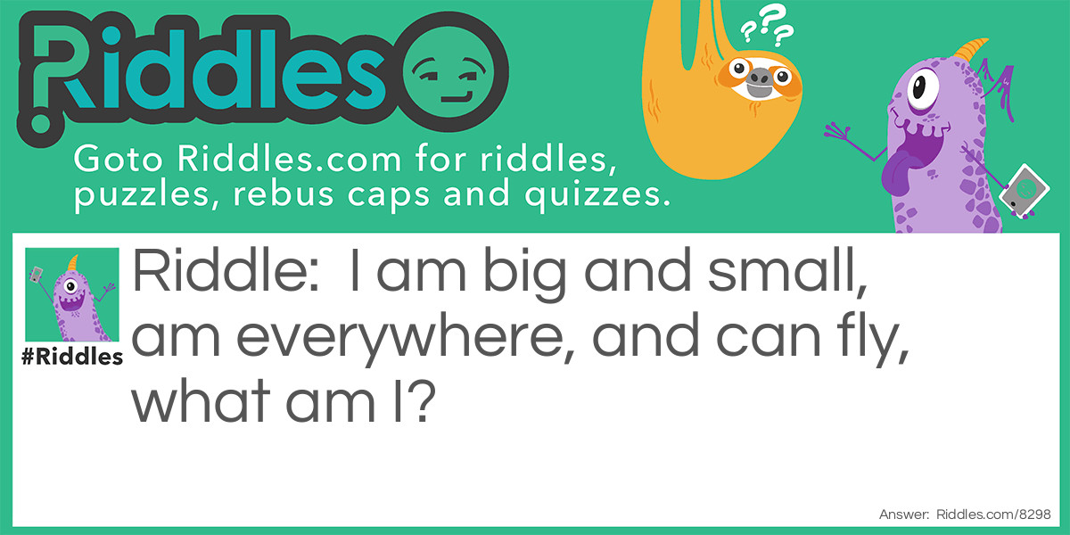 I am big and small, I am everywhere and I can fly.  What am I?