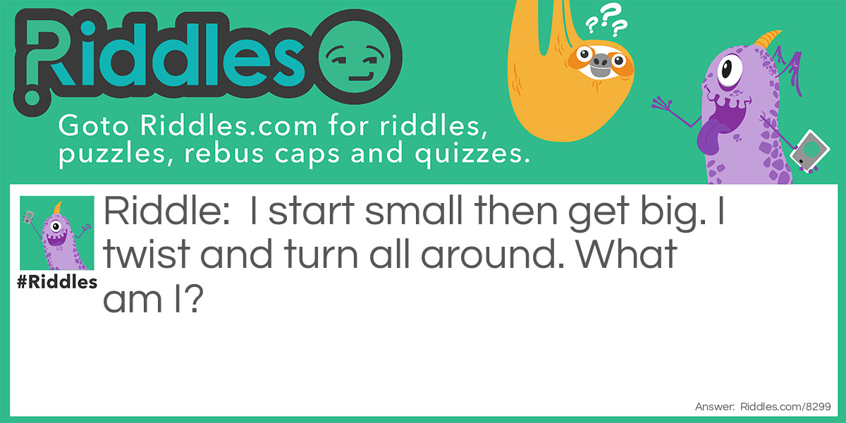 I start small then get big. I twist and turn all around. What am I?