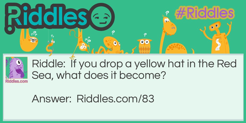 Riddle: If you drop a yellow hat in the Red Sea, what does it become? Answer: Wet, duh!