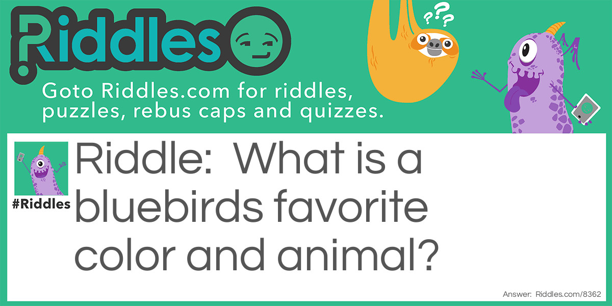 What is a bluebirds favorite color and animal?