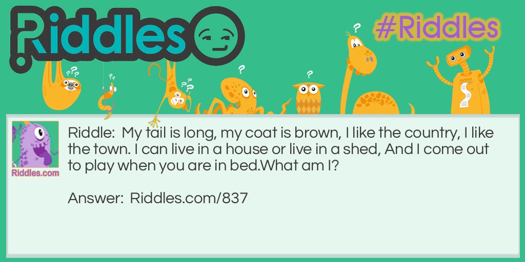 My tail is long, my coat is brown, I like the country, I like the town. I can live in a house or live in a shed, And I come out to play when you are in bed. 
What am I?