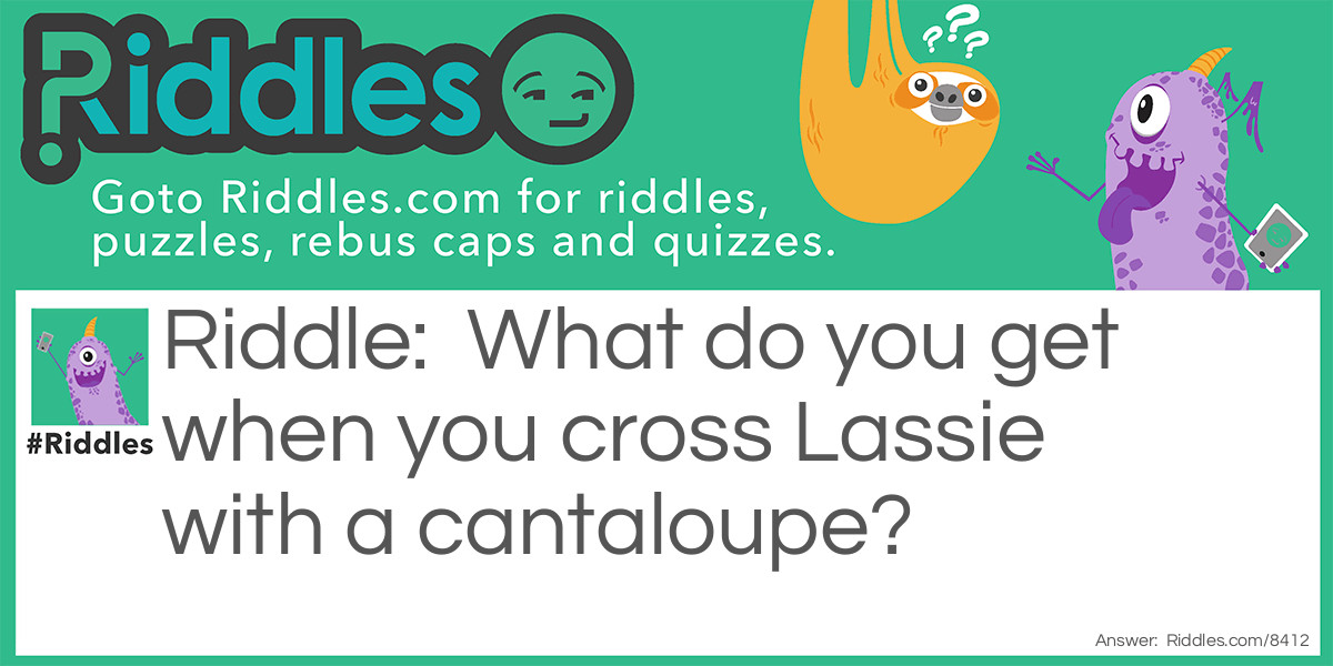 Riddle: What do you get when you cross Lassie with a cantaloupe? Answer: A Melancholy Baby!