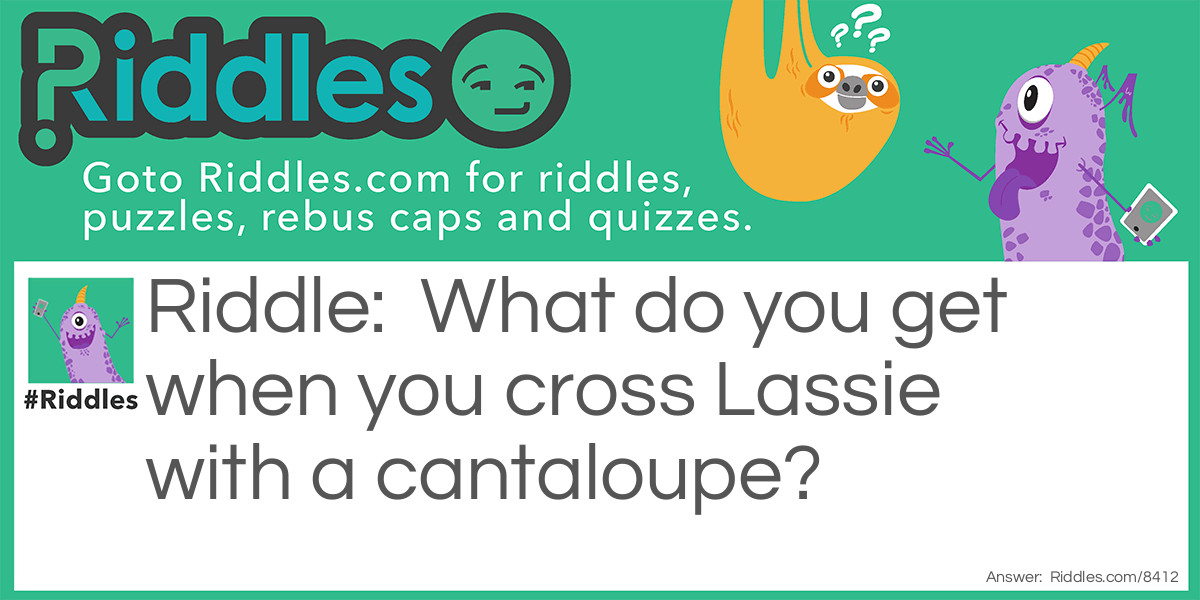 What do you get when you cross Lassie with a cantaloupe?