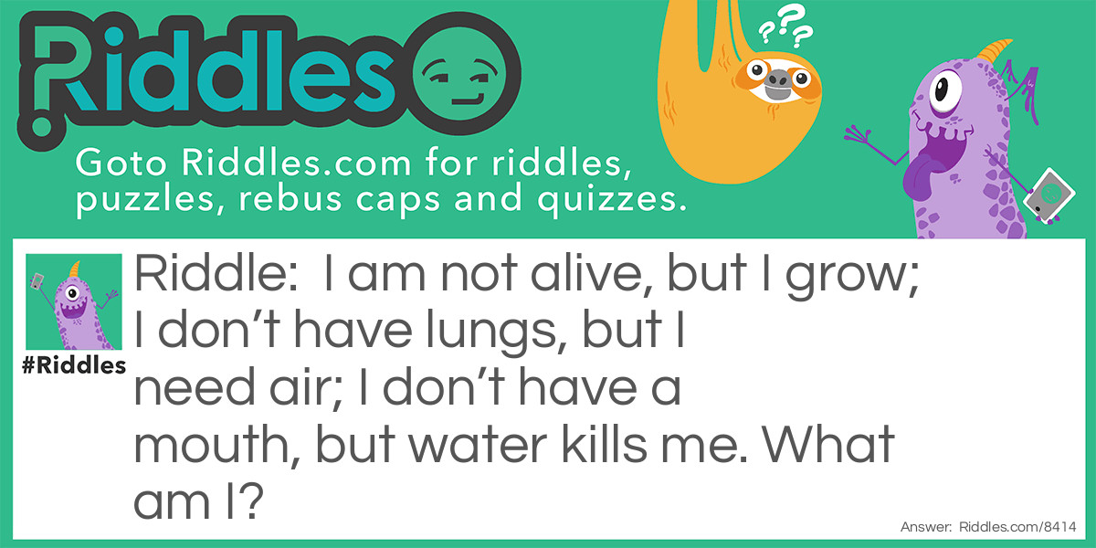 The hottest of them all Riddle Meme.