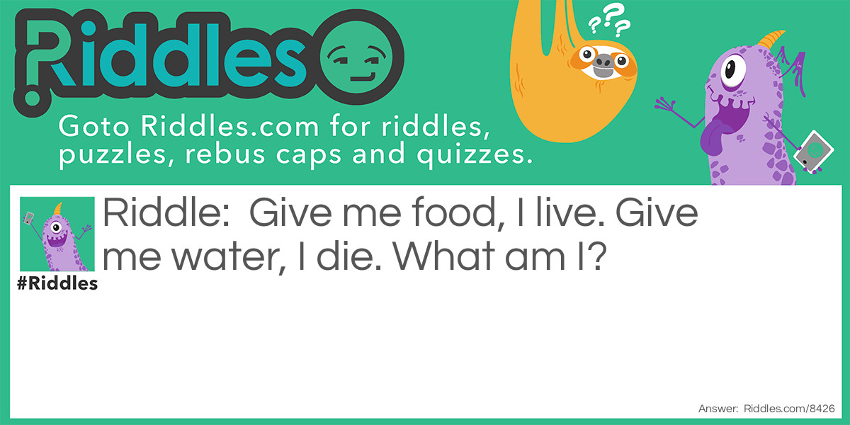 Give me food, I live. Give me water, I die. What am I?