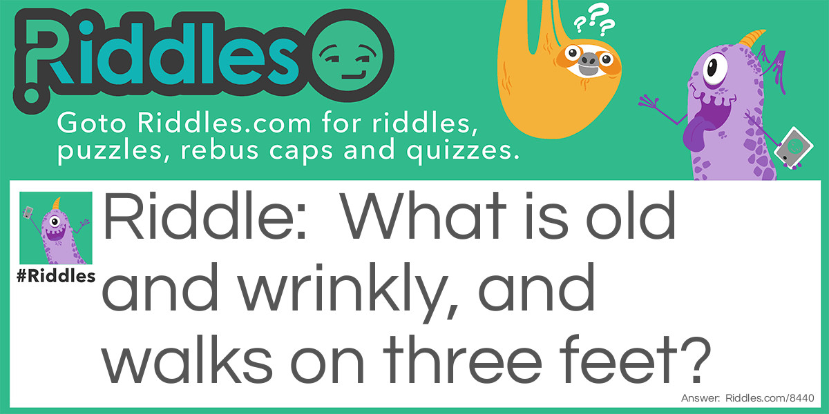 What is old and wrinkly, and walks on three feet?