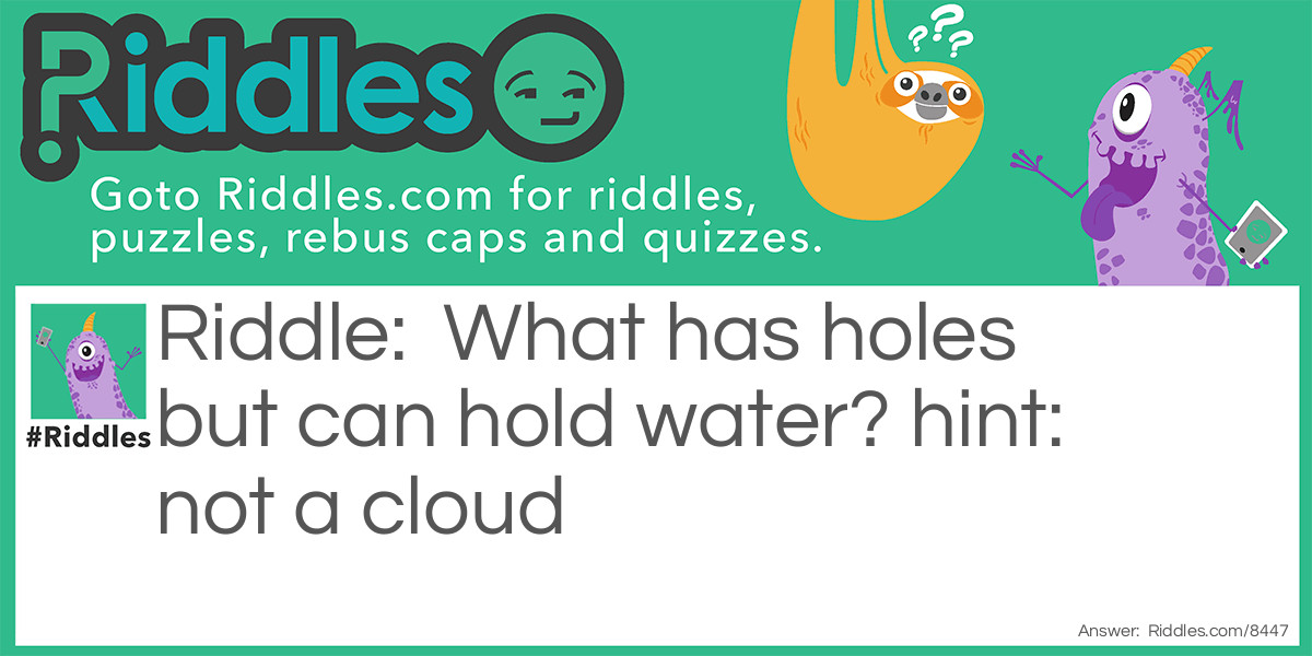 What has holes but can hold water? hint: not a cloud