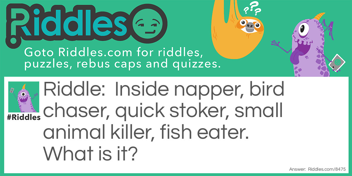 Inside napper, bird chaser, quick stoker, small animal killer, fish eater. What is it?