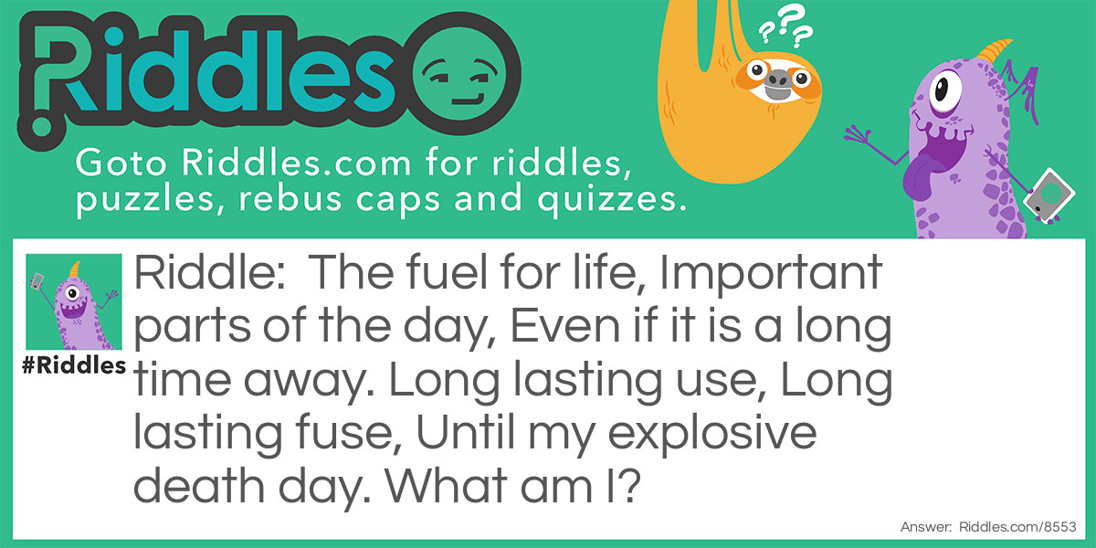 The fuel for life, Important parts of the day, Even if it is a long time away. Long lasting use, Long lasting fuse, Until my explosive death day. What am I?