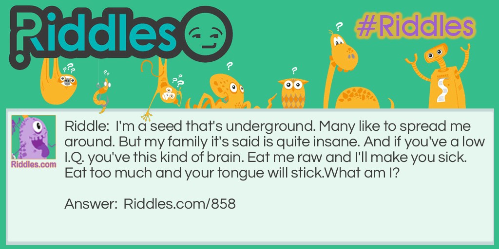 Riddle: I'm a seed that's underground. Many like to spread me around. But my family it's said is quite insane. And if you've a low I.Q. you've this kind of brain. Eat me raw and I'll make you sick. Eat too much and your tongue will stick.
What am I? Answer: A peanut.