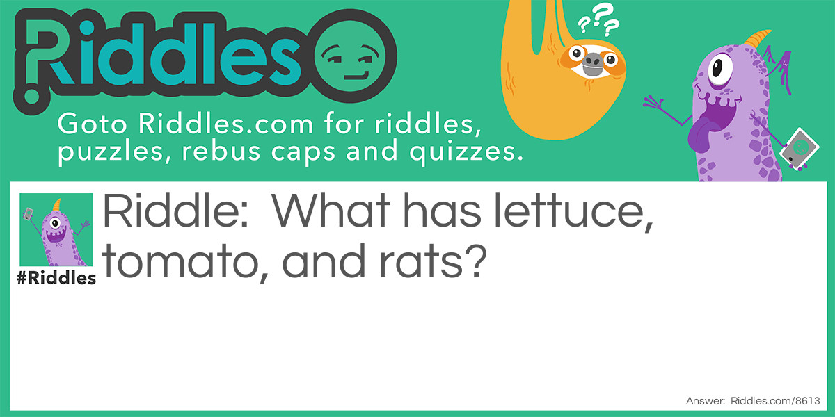 What has lettuce, tomato, and rats?
