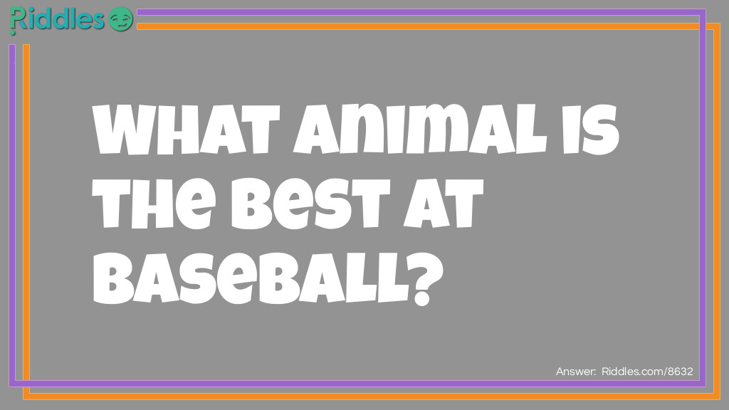 Animal Playing Baseball Riddle Meme.