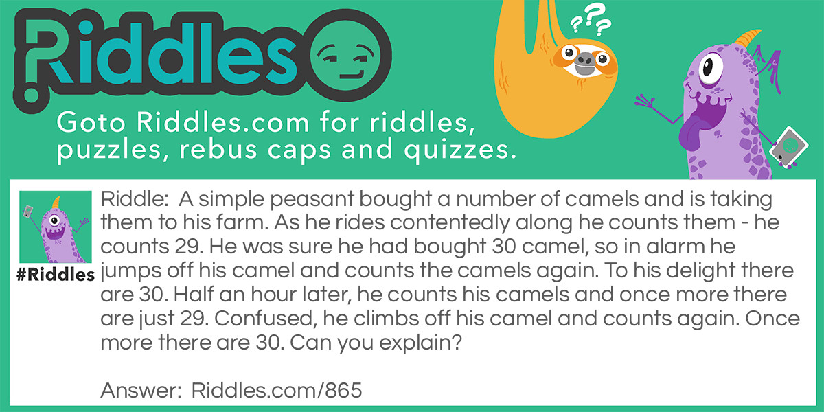Riddle: A simple peasant bought a number of camels and is taking them to his farm. As he rides contentedly along he counts them - he counts 29. He was sure he had bought 30 camel, so in alarm he jumps off his camel and counts the camels again. To his delight there are 30. Half an hour later, he counts his camels and once more there are just 29. Confused, he climbs off his camel and counts again. Once more there are 30. Can you explain? Answer: When he is on the camel he omits to count it.
