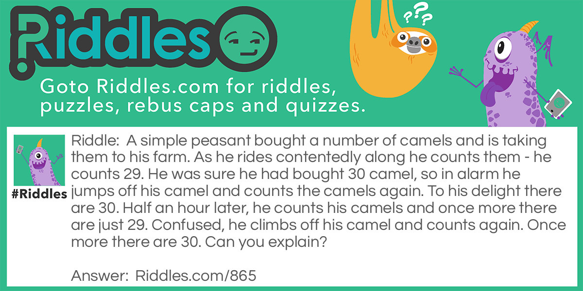 A <a href="/easy-riddles">simple</a> peasant bought a number of camels and is taking them to his farm. As he rides contentedly along he counts them - he counts 29. He was sure he had bought 30 camel, so in alarm he jumps off his camel and counted the camels again. To his delight, there are 30. Half an hour later, he counts his camels and once more there are just 29. Confused, he climbs off his camel and counts again. Once more there are 30. Can you explain?