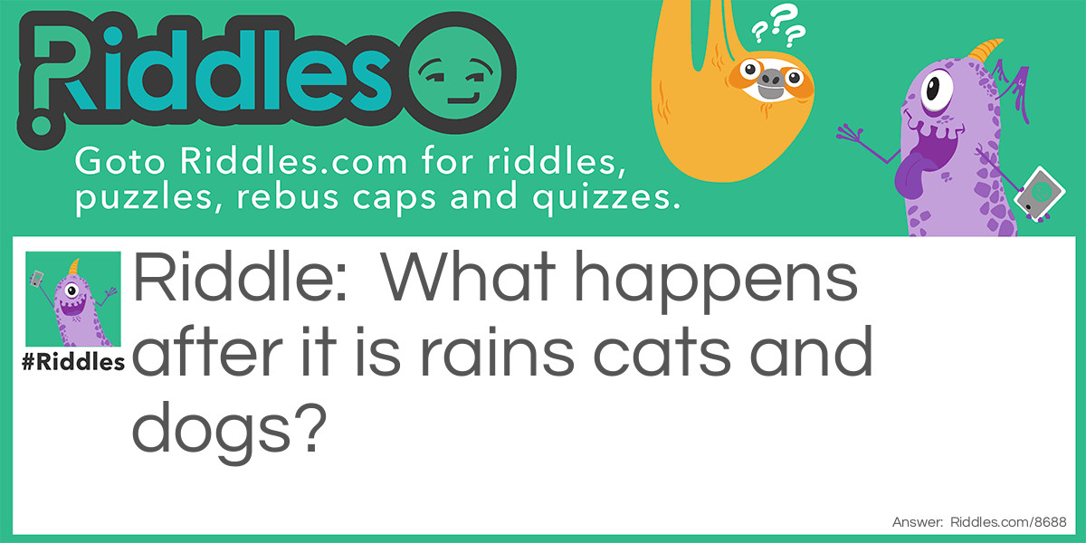 Raining it's pouring cats and dogs Riddle Meme.