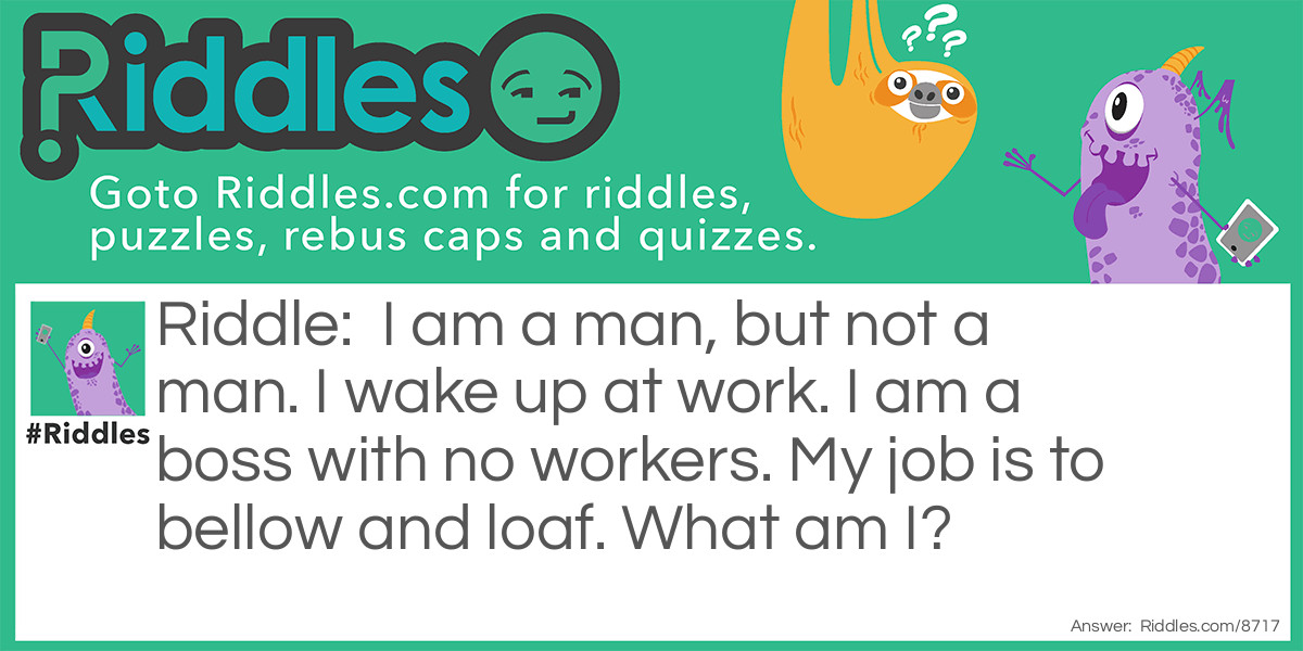 I am a man, but not a man. I wake up at work. I am a boss with no workers. My job is to bellow and loaf. What am I?