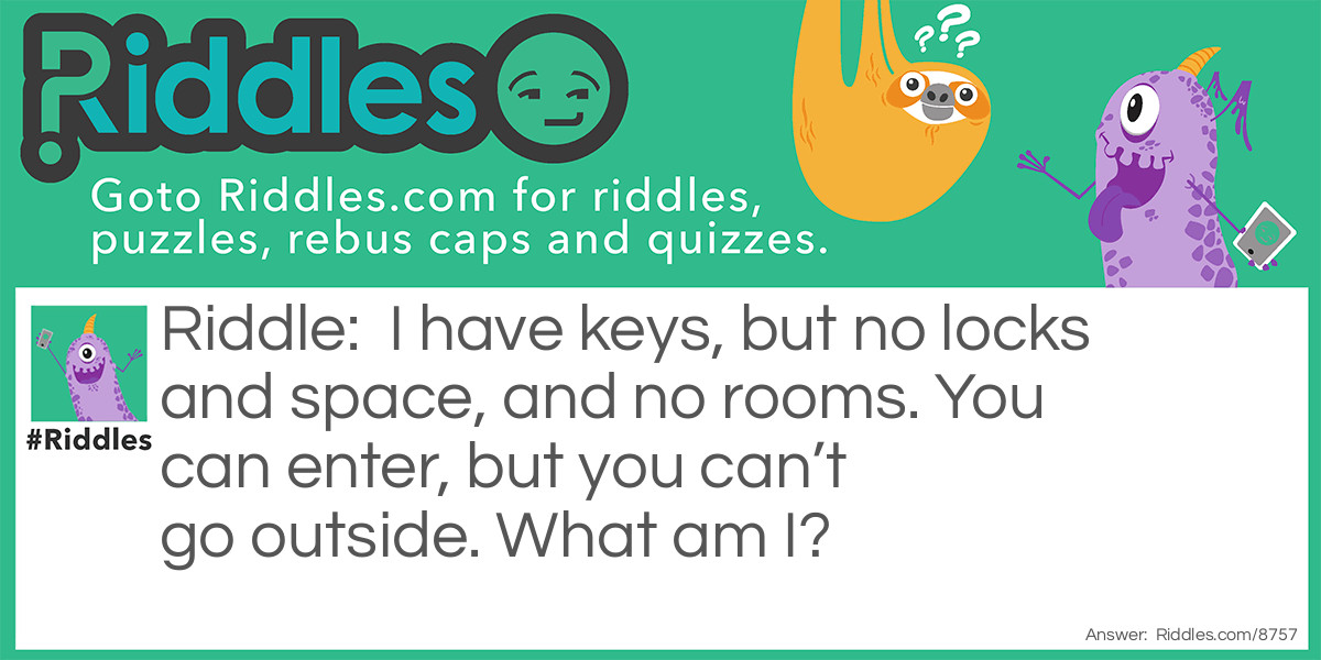 I have keys, but no locks and space, and no rooms. You can enter, but you can't go outside. What am I?