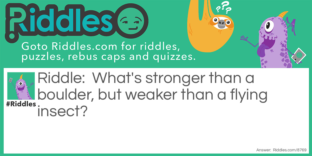 What's stronger than a boulder, but weaker than a flying insect? Riddle Meme.