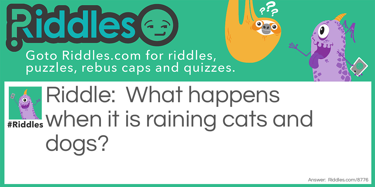 What happens when it is raining cats and dogs?