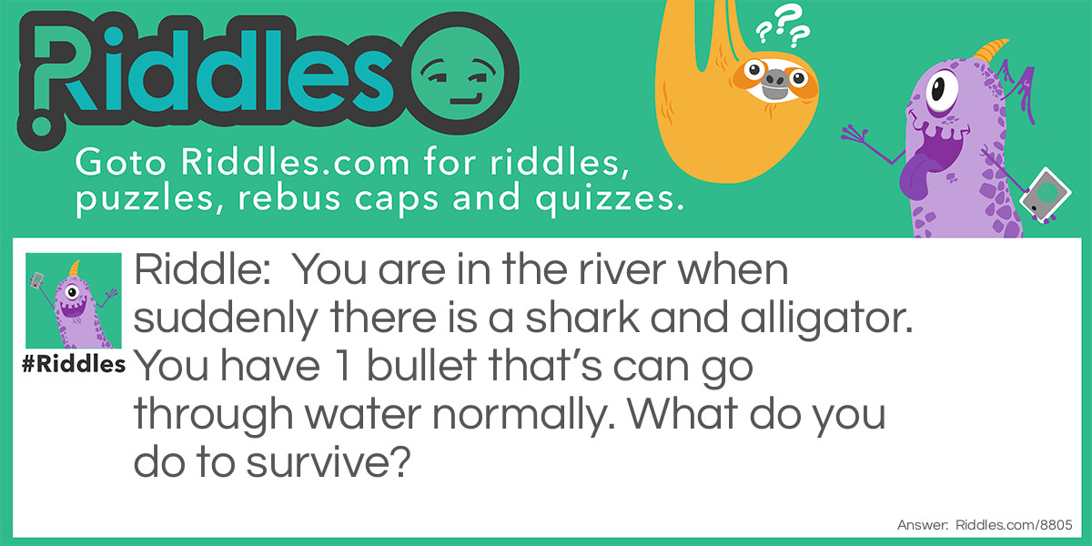 You are in the river when suddenly there is a shark and alligator. You have 1 bullet that's can go through water normally. What do you do to survive?