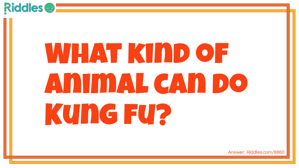 Riddle: What kind of animal can do Kung fu? Answer: Kung fu pandas!