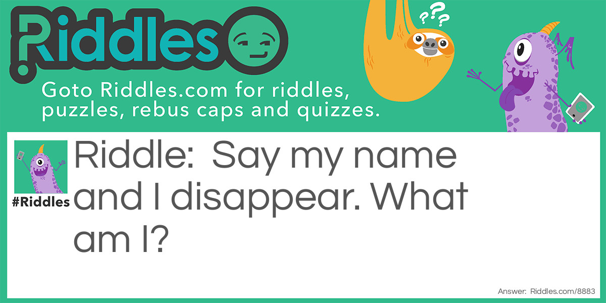 Say my name and I disappear. What am I?