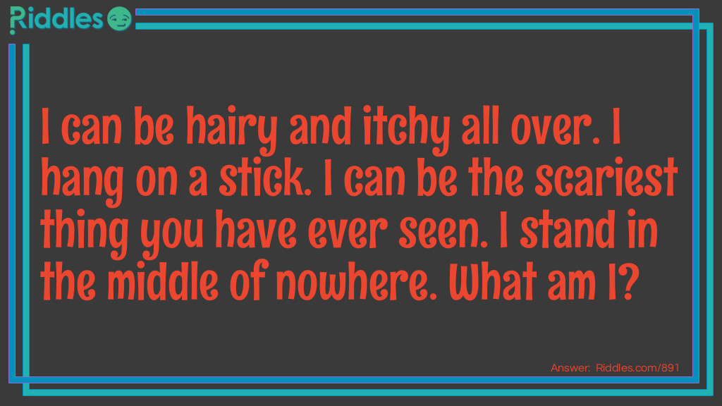 I can be hairy and itchy all over. I hang on a stick. I can be the scariest thing you have ever seen. I stand in the middle of nowhere. What am I?