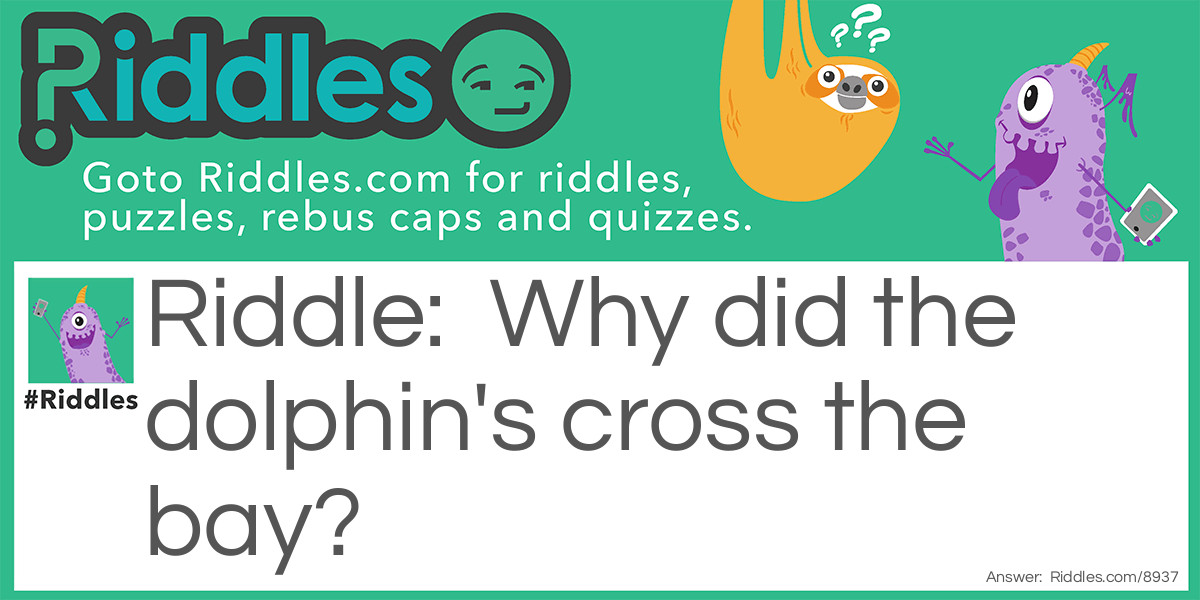 Why did the dolphin's cross the bay?