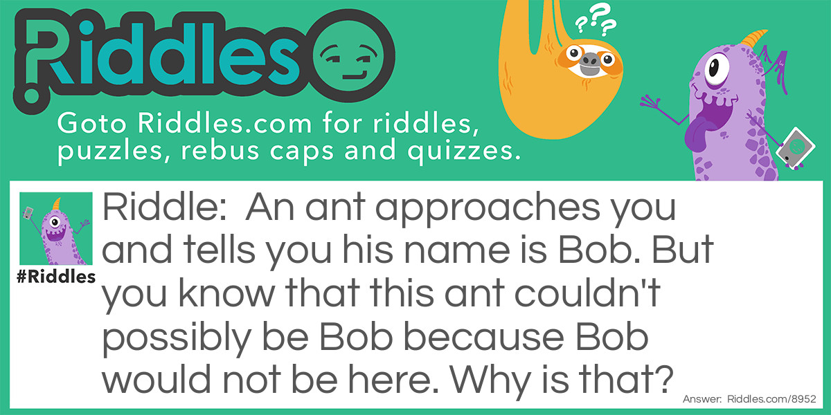 An ant approaches you and tells you his name is Bob. But you know that this ant couldn't possibly be Bob because Bob would not be here. Why is that?