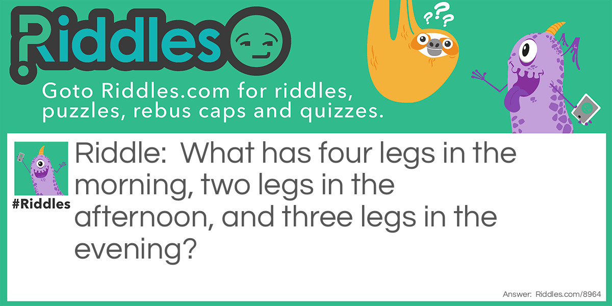 What has four legs in the morning, two legs in the afternoon, and three legs in the evening?