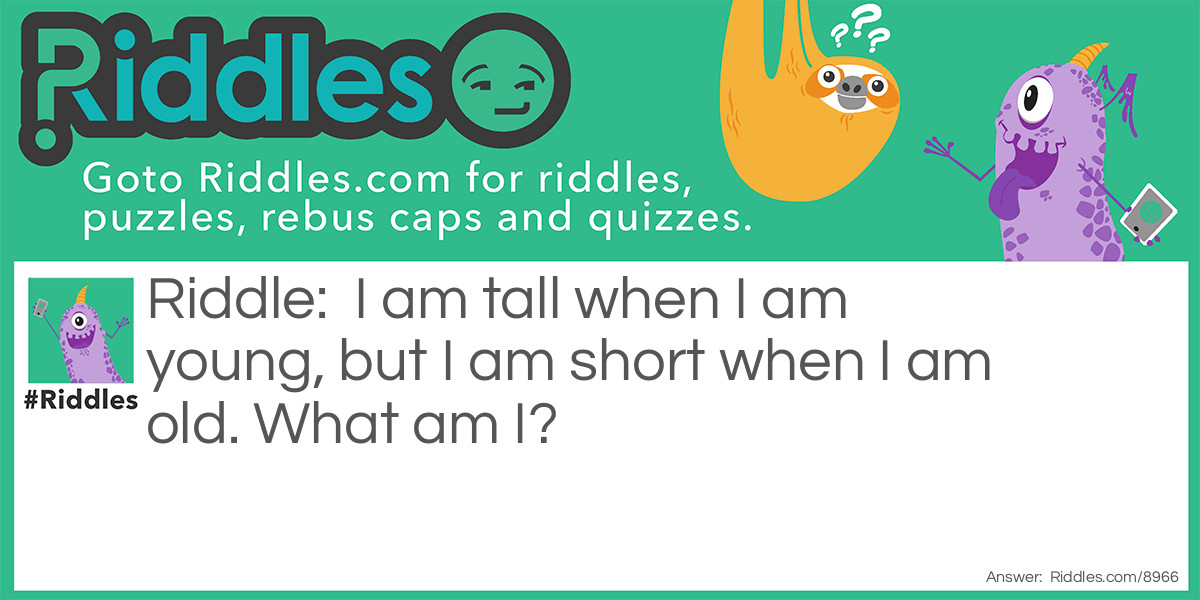 I am tall when I am young, but I am short when I am old. What am I?