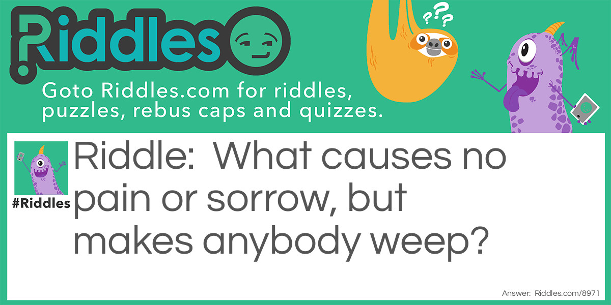 Riddle: What causes no pain or sorrow, but makes anybody weep? Answer: An onion.