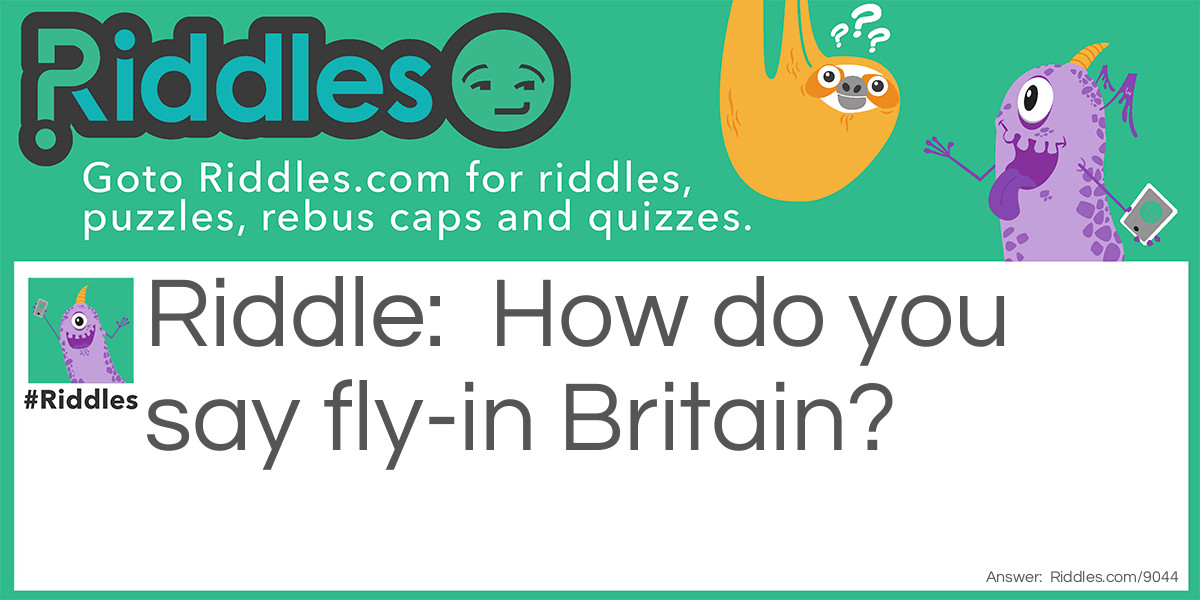 How do you say fly-in Britain?