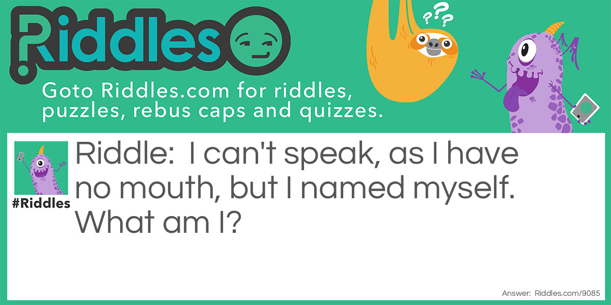 I can't speak, as I have no mouth, but I named myself. What am I?