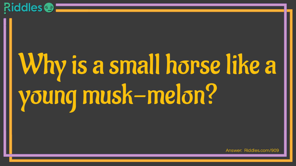 Why is a small horse like a young musk-melon?