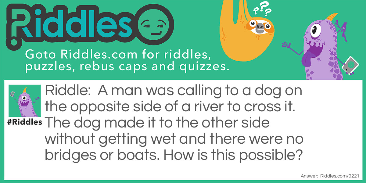 A man was calling to a dog on the opposite side of a river to cross it. The dog made it to the other side without getting wet and there were no bridges or boats. How is this possible?