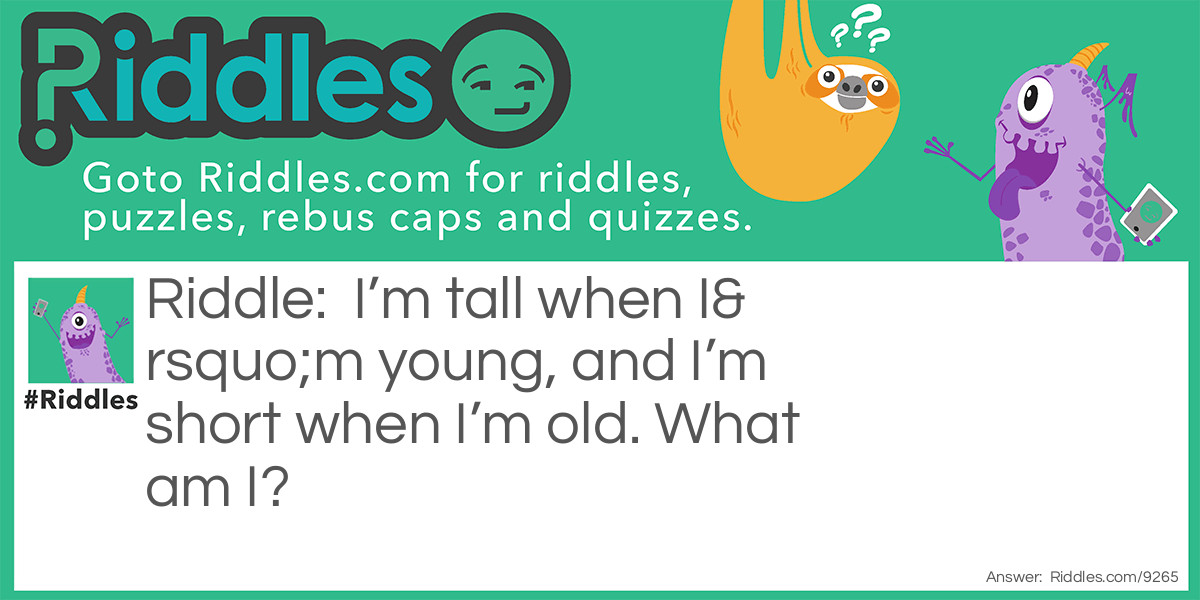 I'm tall when I'm young, and I'm short when I'm old. What am I?