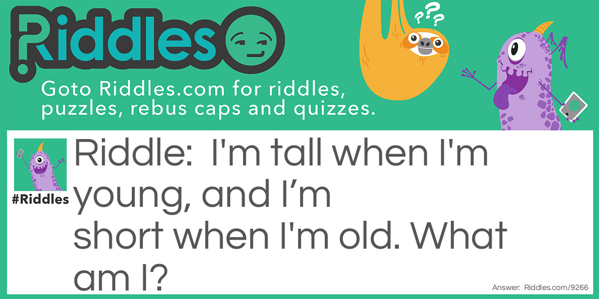 I'm tall when I'm young, and I'm short when I'm old. What am I?