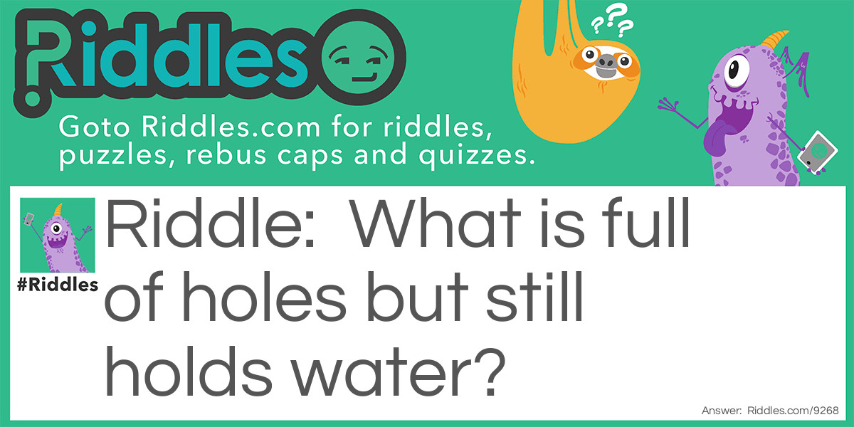 What is full of holes but still holds water.. Riddle Meme.