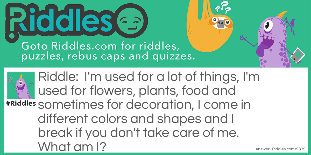 I'm used for a lot of things, I'm used for flowers, plants, food and sometimes for decoration, I come in different colors and shapes and I break if you don't take care of me. What am I?