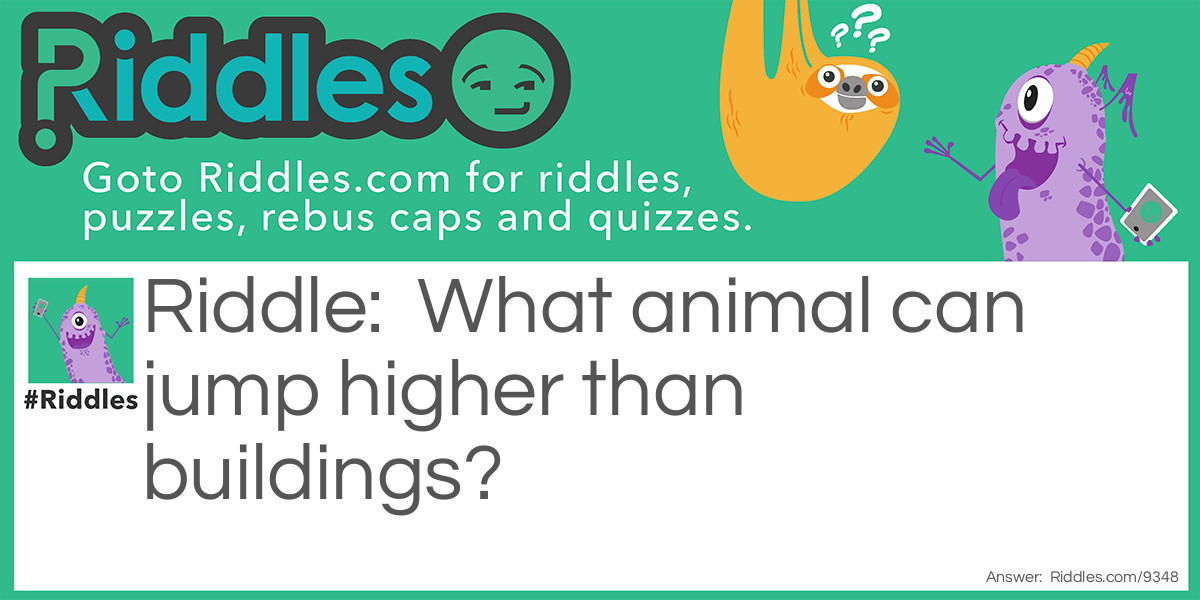 Animals and Buildings Riddle Meme.