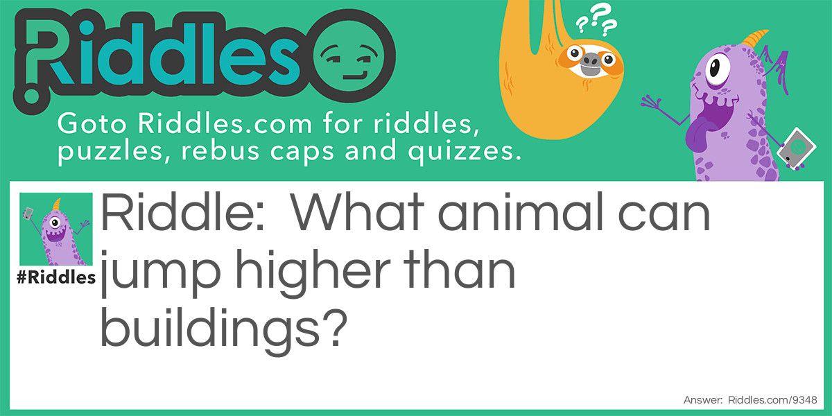 What animal can jump higher than buildings?