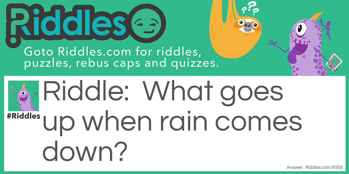 What goes up when rain comes down?