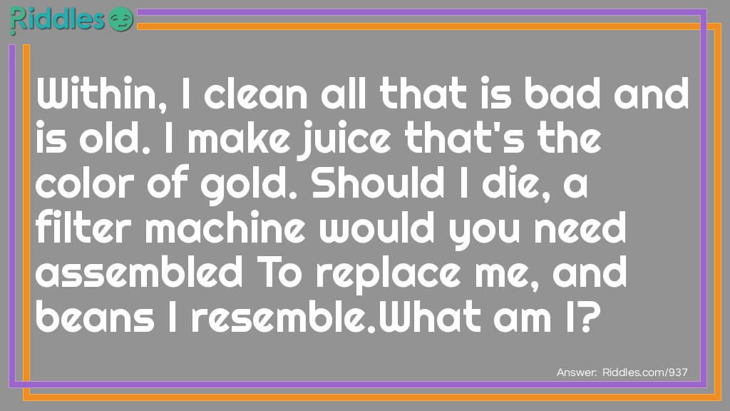 Within, I clean all that is bad and old. I make juice that's the color of gold. Should I die, a filter machine would you need to assemble to replace me, and a bean I resemble... What am I?