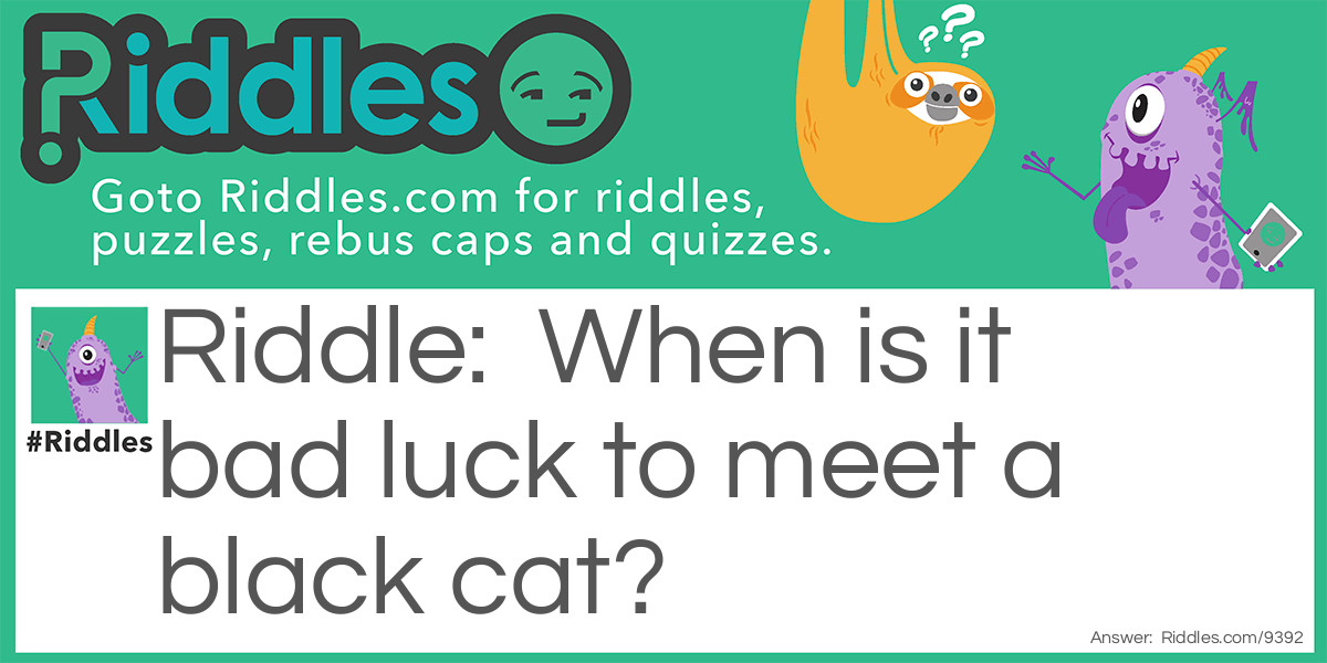When is it bad luck to meet a black cat? Riddle Meme.