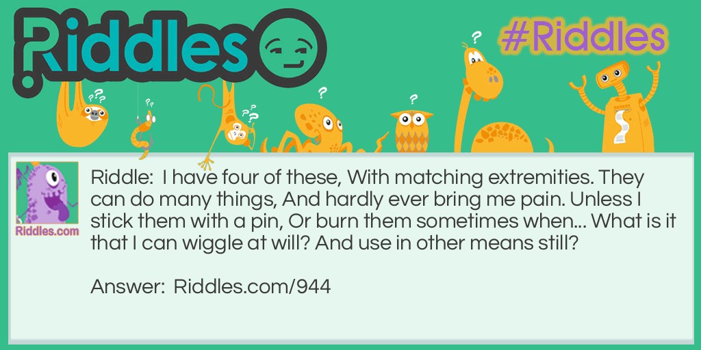 Riddle: I have four of these, With matching extremities. They can do many things, And hardly ever bring me pain. Unless I stick them with a pin, Or burn them sometimes when... What is it that I can wiggle at will? And use in other means still? Answer: Fingers.
