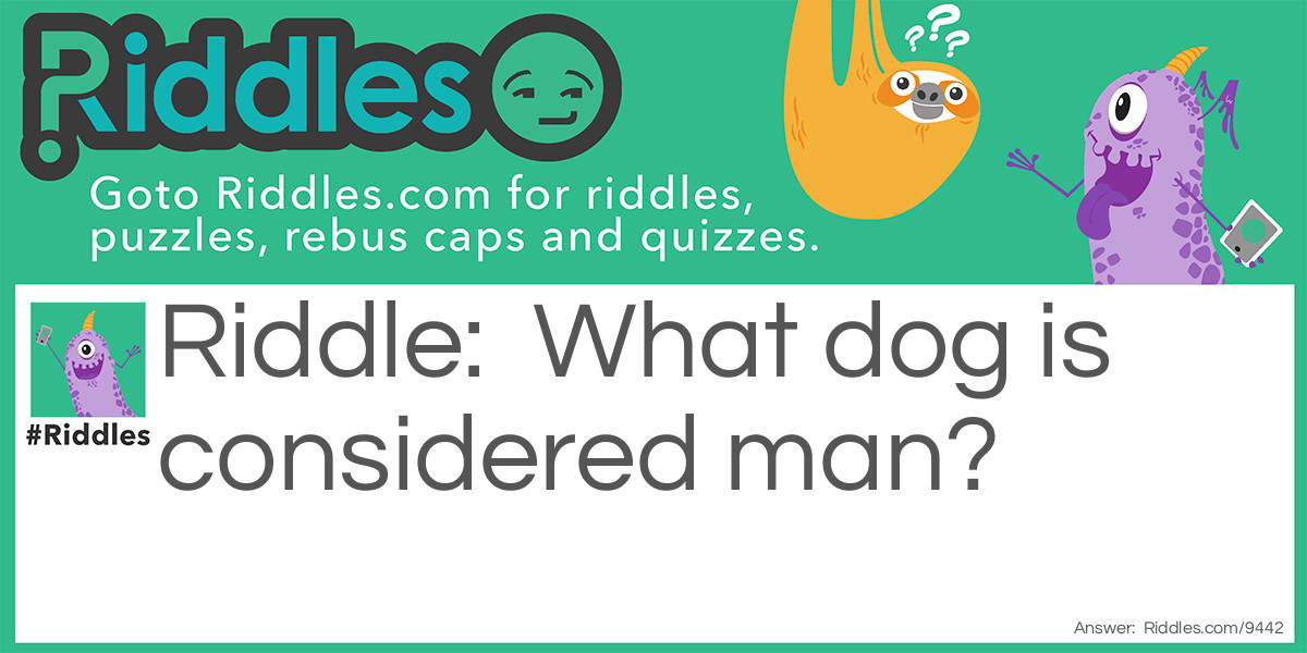 A dog riddle.  Riddle Meme.