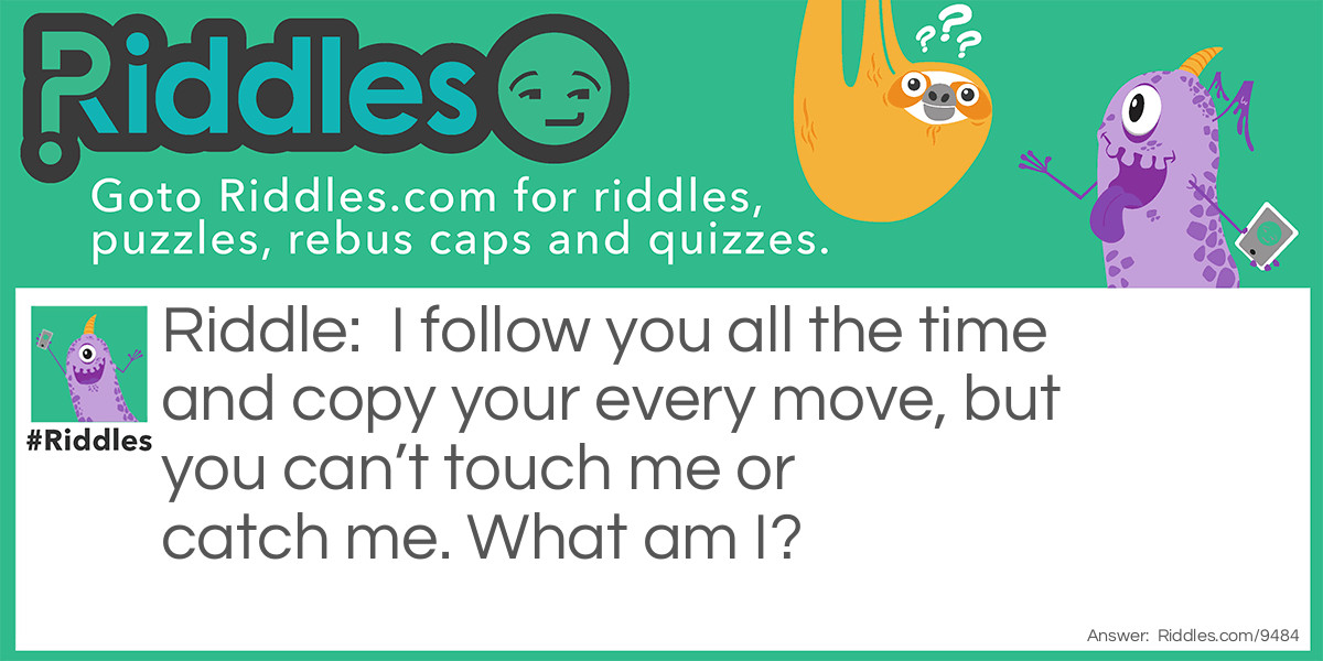 I follow you all the time and copy your every move, but you can't touch me or catch me. What am I?