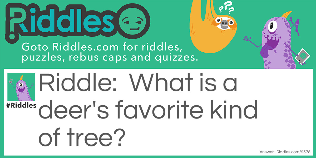 What is a deer's favorite kind of tree?