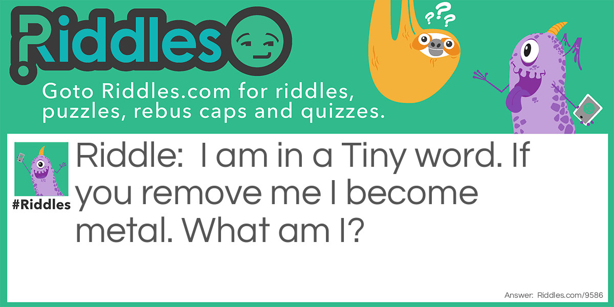 Tiny Word Riddle Meme.